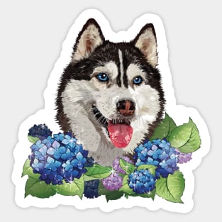 Husky Sticker